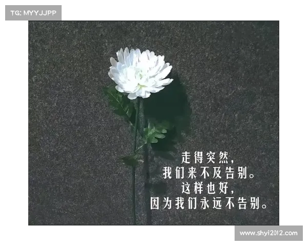 遗憾终将随人生相伴正如Showmaker所言奋斗仍是前行的唯一方向 遗憾终将随人生相伴正如Showmaker所言奋斗仍是前行的唯一方向